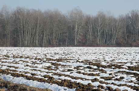 冬季耕种田地的耕图片