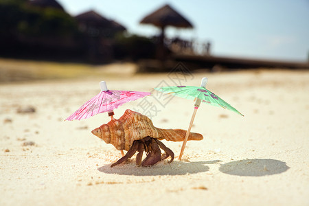 在温暖的热带海滩上两把雨伞的阴影下图片