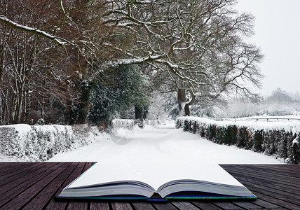 下雪冬季风景乡村英国乡村从神奇书本图片