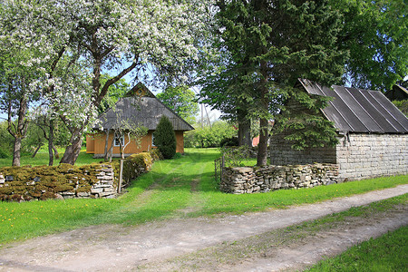 爱沙尼亚Saaremaa岛Muhu村路旁美丽图片
