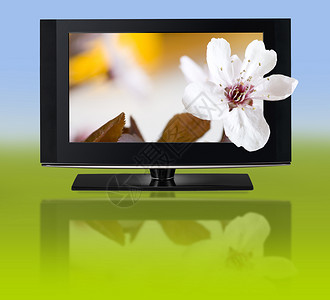LCD电视板3D电视图片