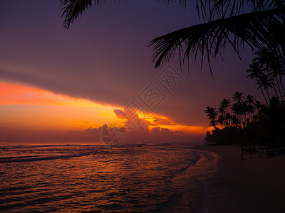 SriLanka海滩上美图片