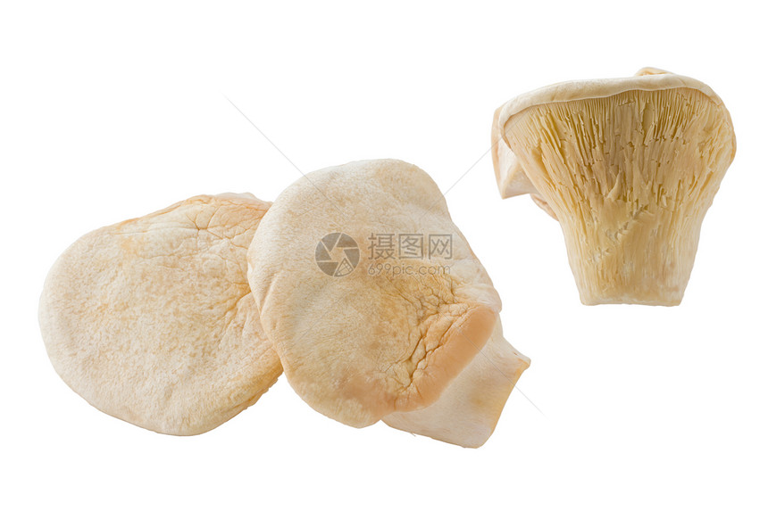 白色背景下的几个白灵菇的组合图片