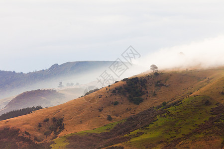 新西兰杜内丁附近南岛奥塔戈半岛风景观上的雾和恶劣图片