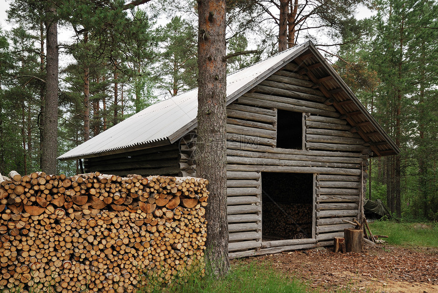 大型木柴堆放在芬兰森林中图片