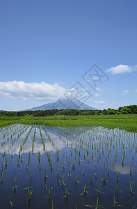 日本木冈伊瓦特山和牧区地图片