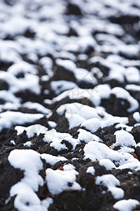 秋天黑地上白雪的宏观意象图片