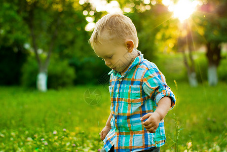 美丽的小男孩在草地图片
