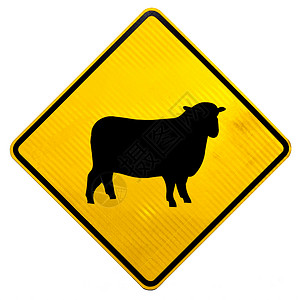 新西兰路标关注羊过路图片