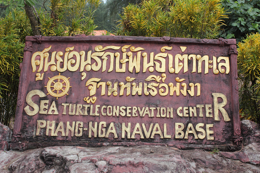 亚洲泰国Phangnga海军基地的海龟养图片