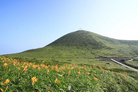 达利里山和秋田图片
