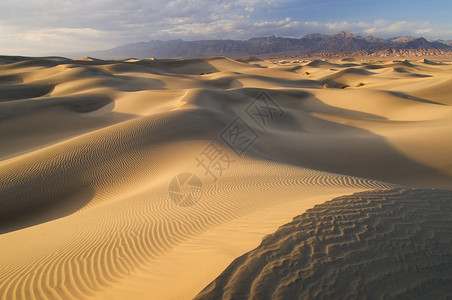 美国加利福尼亚州梅斯基特平流沙丘陵死图片