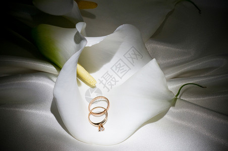 CallaLily和结婚戒指图片