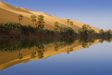 上午在绿洲利比亚沙漠桑迪图片