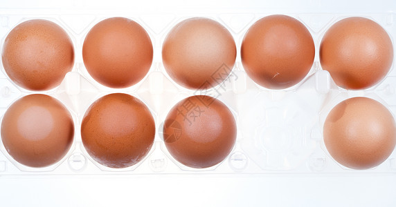 持有人的十一个棕色鸡蛋图片