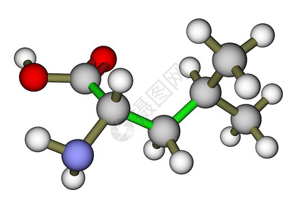 必需氨基酸亮氨酸分子结构背景图片