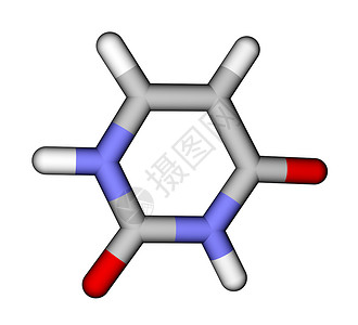 核碱基尿嘧啶棒分子模型图片