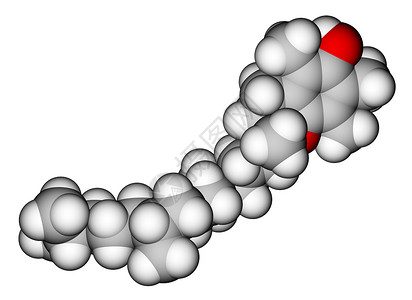 AlphatocopherolvitaminE空间图片