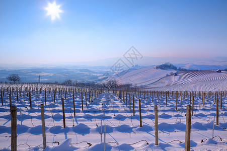 在意大利北部皮德蒙特Piedmont的晴朗蓝天下雪图片