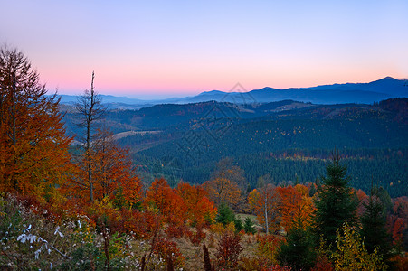 山中的秋夜图片