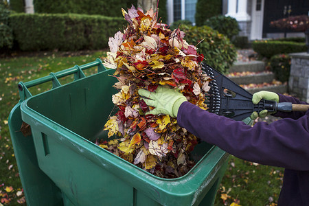 在秋天的人来回收垃圾桶用院图片