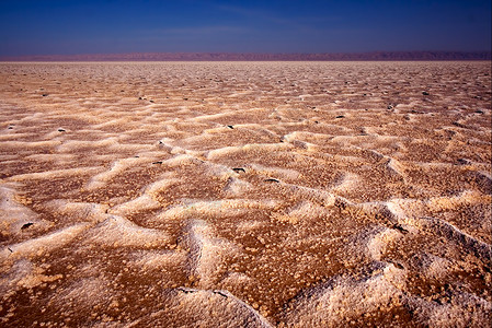 盐湖沙漠在突尼斯chottel图片