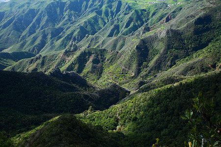 加那利群岛Tenerife山图片