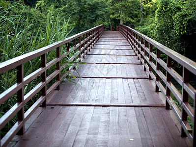 绿色自然公园中的古木桥图片