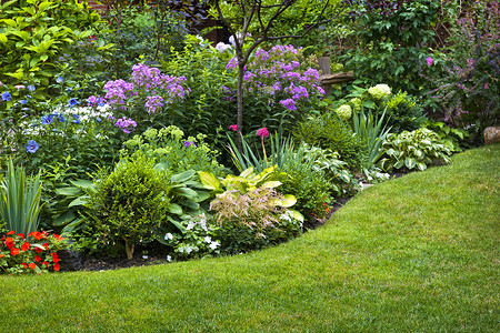郁葱的园景花园有花坛和五颜六色的植物图片