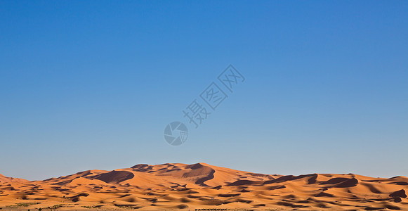 骆驼大篷车和沙丘图片