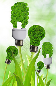 绿色背景上的生态能源灯泡图片