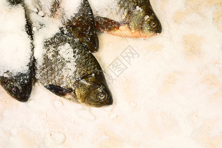 有盐的新鲜鱼用于长期储存或进一图片