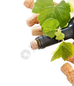 白色背景带复制空间的日期葡萄酒瓶装图片