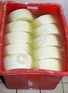 在乳制品实验室内以各种形式生产奶酪和新鲜cacita图片