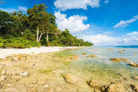 在印度安达曼群岛和尼科巴群岛的尼尔岛原始和未开发的白色沙滩上图片