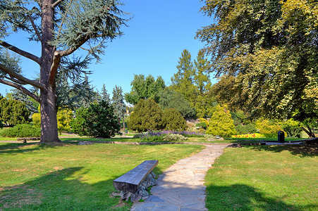 位于意大利都灵著名的华伦天奴公园植物园的绿草坪和树木之间的图片