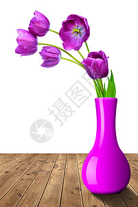 孤立的花瓶中的新鲜紫色郁金香图片