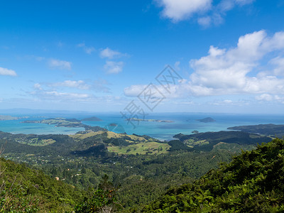 新西兰北岛科罗曼德尔半岛的图片