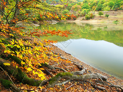 秋天的公园和水中的倒影自然景观图片