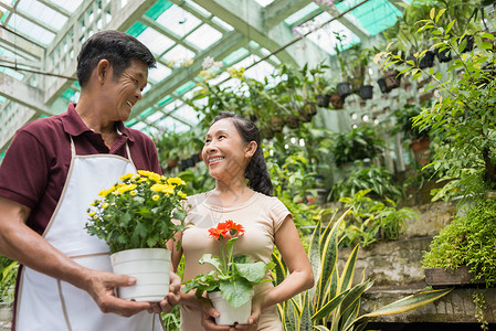 一个微笑的成熟夫妇在温室里与花盆共聚一堂的图片
