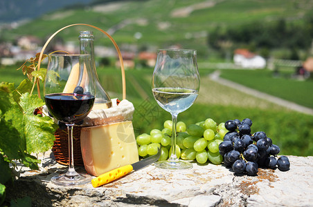 葡萄酒和葡萄瑞士图片