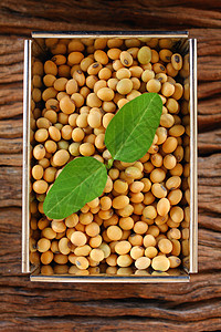 木背景上的大豆背景图片