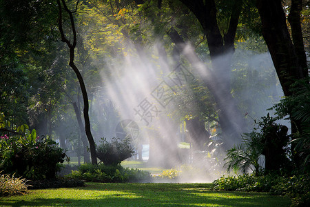 公园和花园中的水雾和灯光用于自然清新背景图片