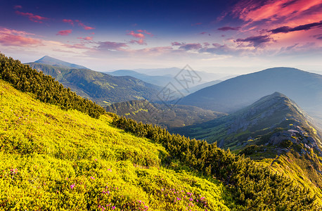 阳光灿烂的一天在山地上图片