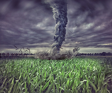 草地上的大龙卷风照图片