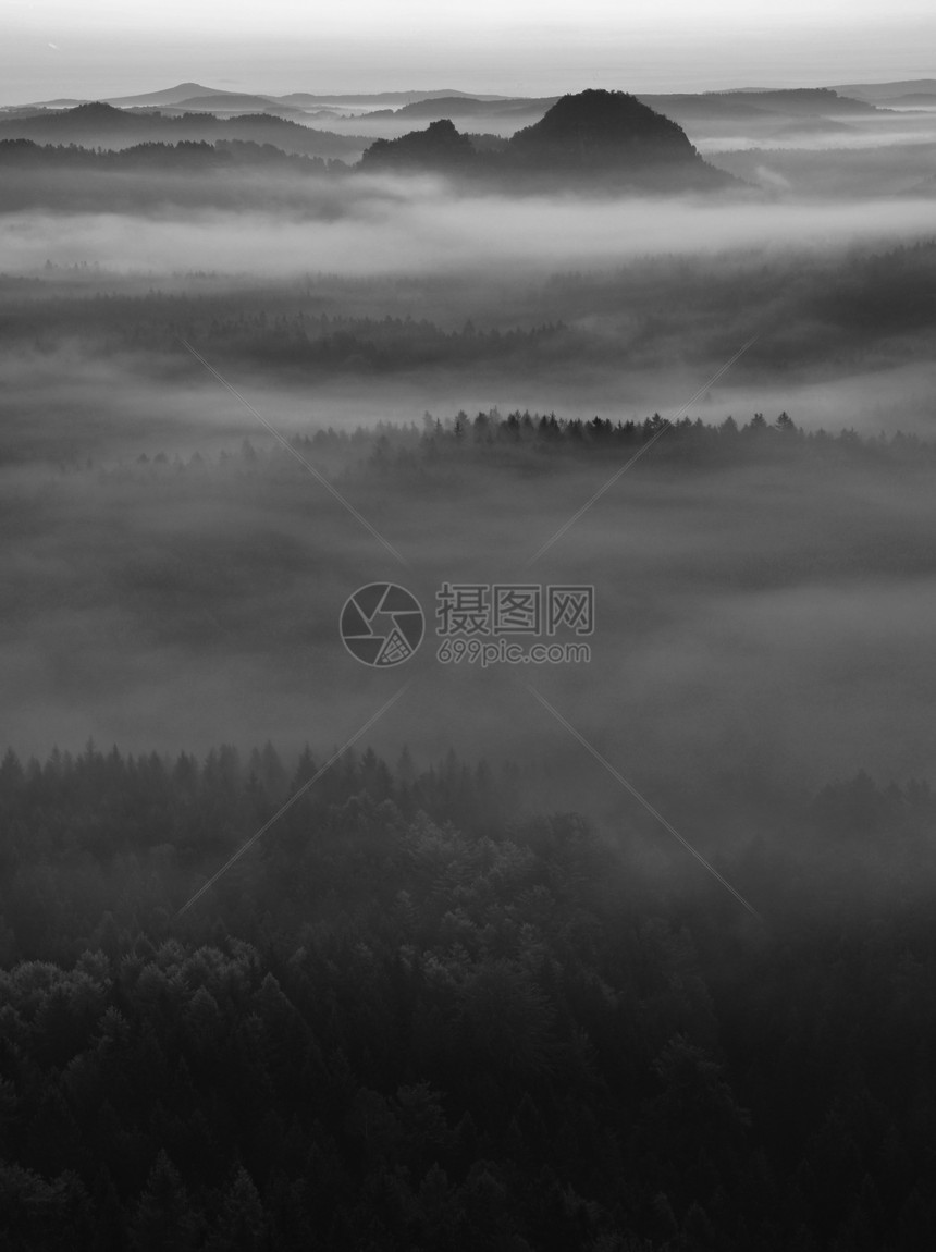 察看萨克森的瑞士深雾谷图片