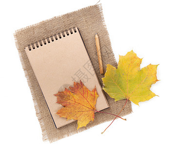 用铅笔和秋叶涂成白纸笔记的棕色纸笔图片