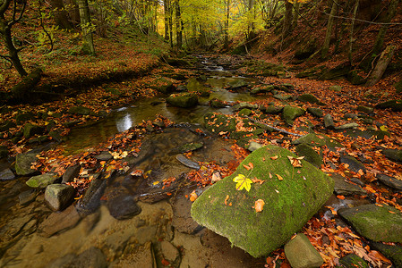 有小河的美丽的秋天森林图片