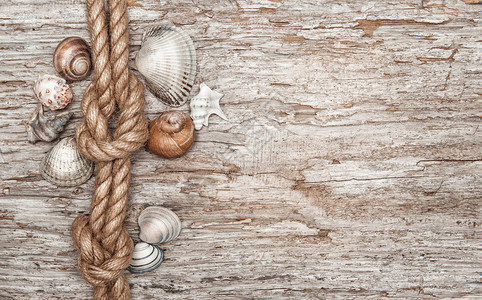 船舶绳索海壳图片