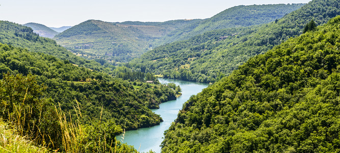 夏季在Millau和Albi之间Aveyron图片